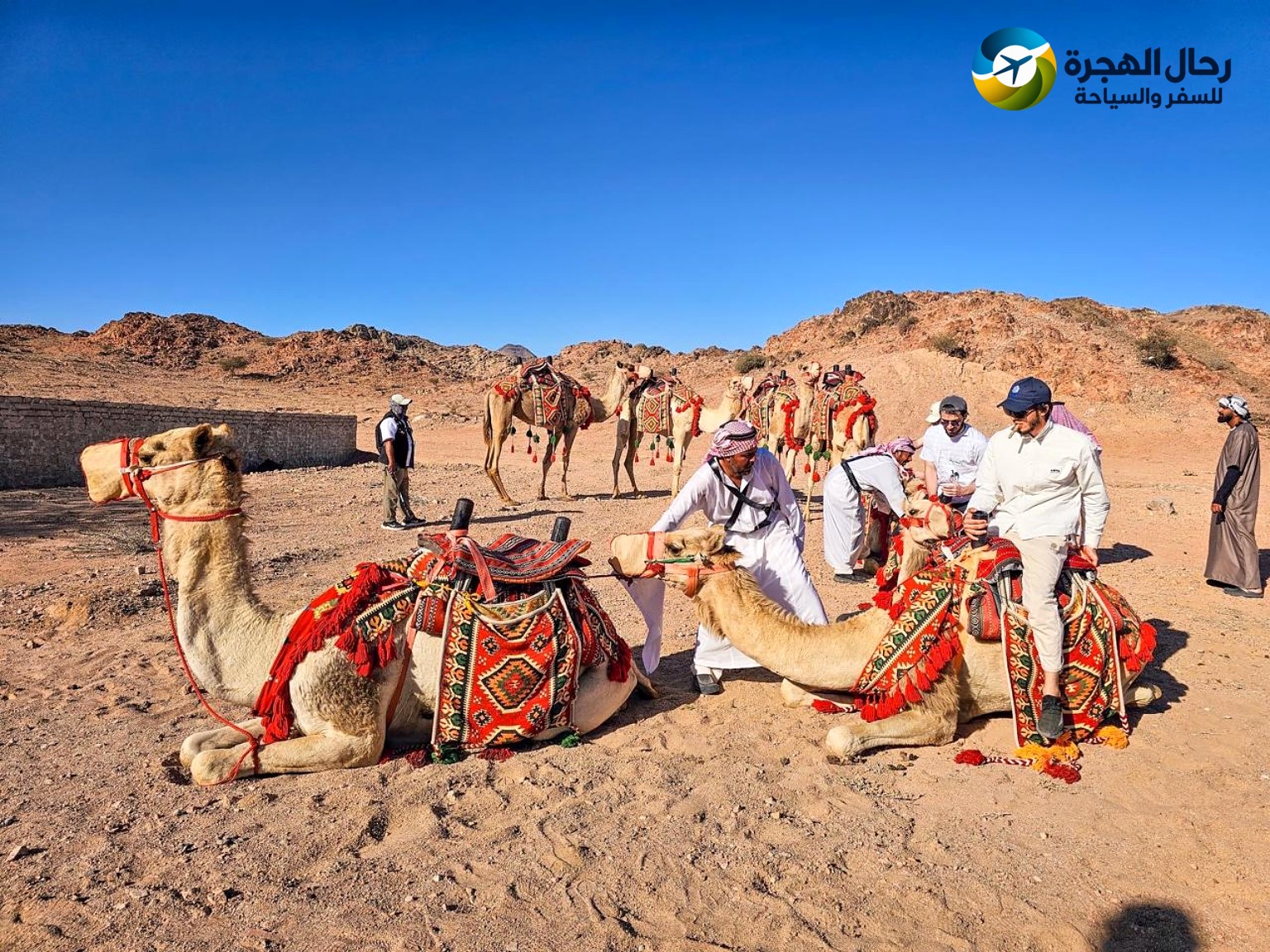 تجربة القوافل